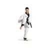 Hapkido Dobok Black Belt Traditional - 3-160 cm
